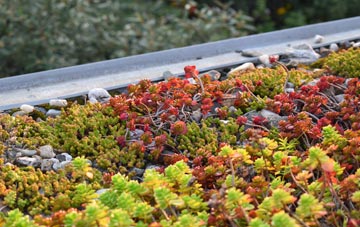 the cost of Chew Stoke green roof installation