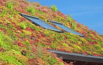 Chew Stoke living roof systems